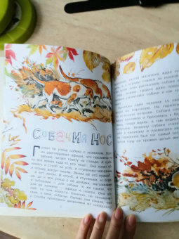 Виталий Танасийчук: Для чего коту усы?