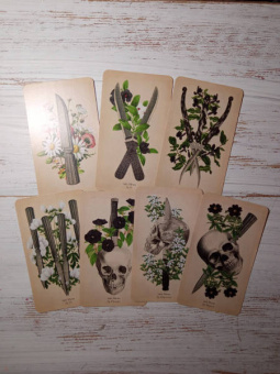 Клэр Гудчайлд: Antique Anatomy Tarot. Таро античной анатомии