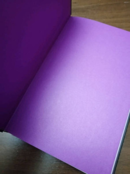 Карл Кнаусгор: Моя борьба.
 Книга четвертая. Юность