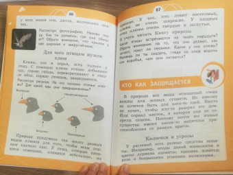 Татьяна Шпотова: Естествознание. 1 класс. Азбука экологии. Учебник. ФГОС