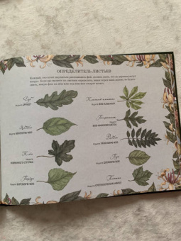 Секретная жизнь фей