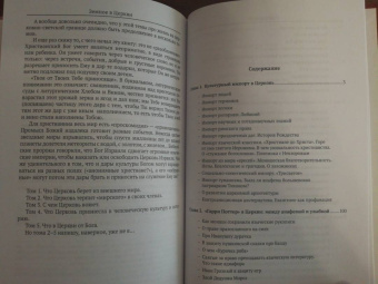 Андрей Кураев: Земное в Церкви