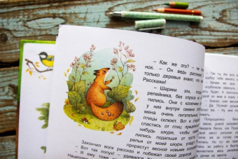 Дороченкова, Кравчук: Лесные секреты