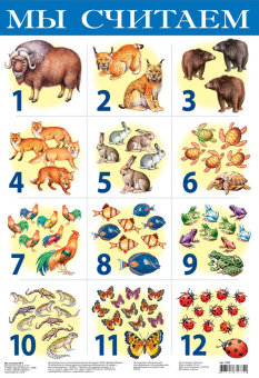 Комплект из 10 обучающих плакатов для детей 4-5 лет