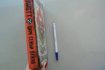 Уилл Эллиотт: Цирк семьи Пайло