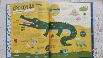 Пинтос, Ианнуззи: Как спит пчела? Удивительные факты о животных и их суперспособностях