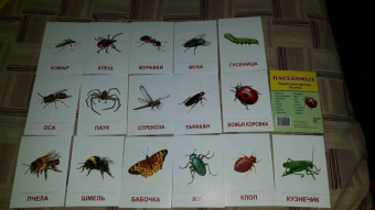 Раздаточные карточки "Насекомые" (63х87мм)
