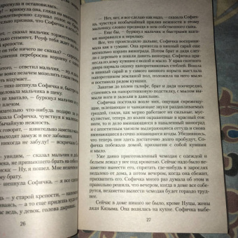 Фазиль Искандер: Софичка