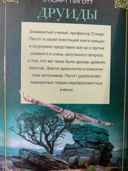 Стюарт Пиготт: Друиды. Поэты, ученые, прорицатели