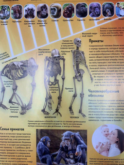 Маркус Джонсон: Тело человека. Виртуальная реальность