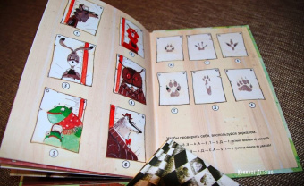 Александра Хворост: Кто ограбил миссис Рэббит?