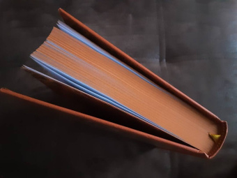 Карл Май: Виннету. Сын вождя