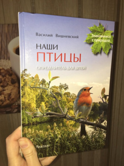 Василий Вишневский: Наши птицы. Определитель для детей