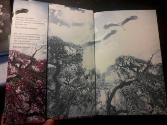 Тван Тан: Сад вечерних туманов