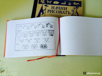 Эдвин Лутц: Что рисовать и как рисовать. Пошаговые техники для тех, кто хочет стать художником за 5 минут