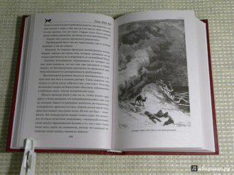 Рид Майн: Пиратский остров. Молодые невольники