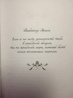 Стейси Браун: Дикие Земли