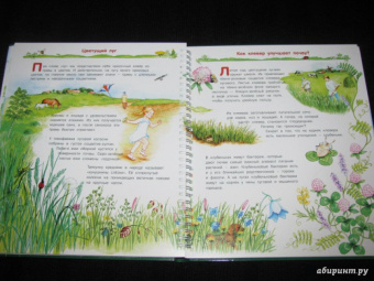 Татьяна Елумеева: Растения