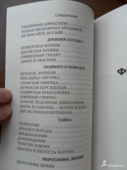 Надежда Щепкина: Виват, кошка!