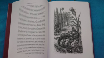 Гофман Эрнст Теодор Амадей: Повелитель блох
