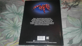 Людмила Соколова: Хочу знать. Пауки