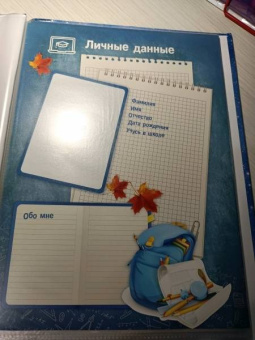 Портфолио школьника ГЛОБУС (52265)