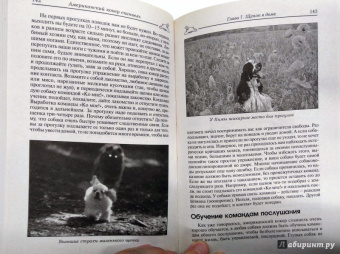 Марина Исайкина: Американский кокер спаниель. История. Стандарты. Содержание. Разведение. Выставки