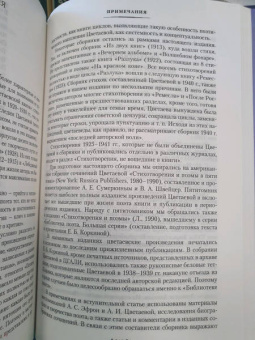 Марина Цветаева: Волшебный фонарь