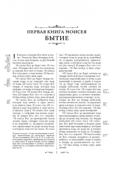 Библия. Книги Священного Писания Ветхого и Нового Завета с параллельными местами и приложениями