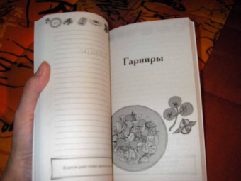 Мои любимые рецепты. Книга для записей