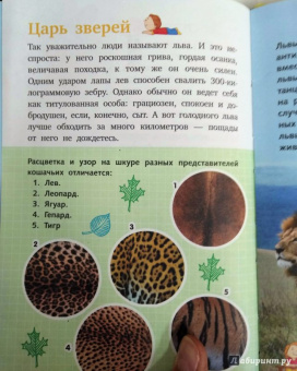 Кошевар, Хомич: Всё обо всём
