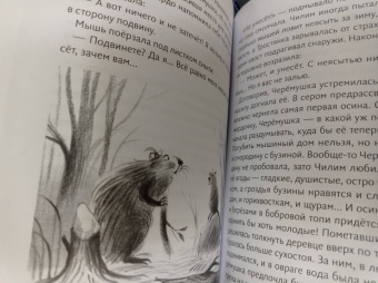 Ольга Павлова: Повесть о речных королях