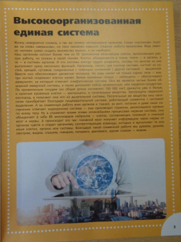 Анна Спектор: Анатомия