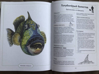 Сэми Бэйли: Энциклопедия опасных животных