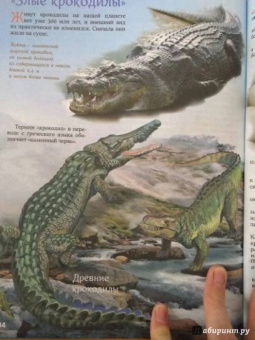 Евстигнеев, Ященко: Кто на свете старше динозавра... или Почему киты живут в воде, а слоны на суше?