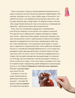 П. Доможиров: Only Lama. ЛАМА! Фанбук. 8 проектов для творчества и вдохновения