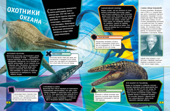 Бедуайер, Паркер, Фарндон: Животные. Книга юного эрудита