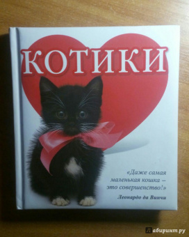 Евгения Гюнтер: Котики