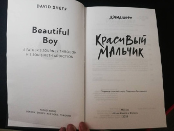 Дэвид Шефф: Красивый мальчик. Правдивая история отца, который боролся за сына