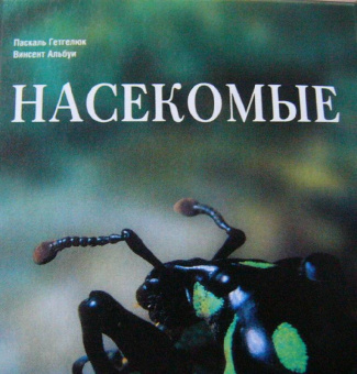Гетгелюк, Альбуи: Насекомые
