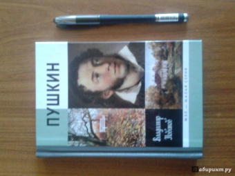 Владимир Новиков: Пушкин