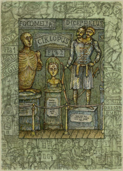 Александр Чаянов: Романтические повести