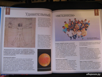 Буэ, Симон: Тело человека