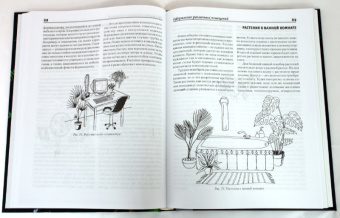 Комнатное цветоводство и фитодизайн