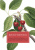 Виктор Мережко: Сонька Золотая Ручка - 4:  Королева воровского мира