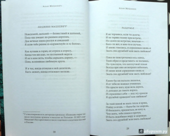 Среди печальных бурь. Из польской поэзии XIX-XX веков
