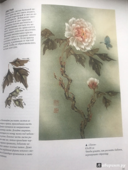 Джейн Эванс: Китайская тушь