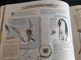 Секретная жизнь фей