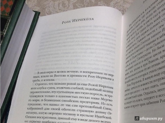 Иван Бунин: Солнечный удар