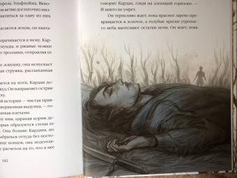 Холли Блэк: Как король Эльфхейма научился ненавидеть истории